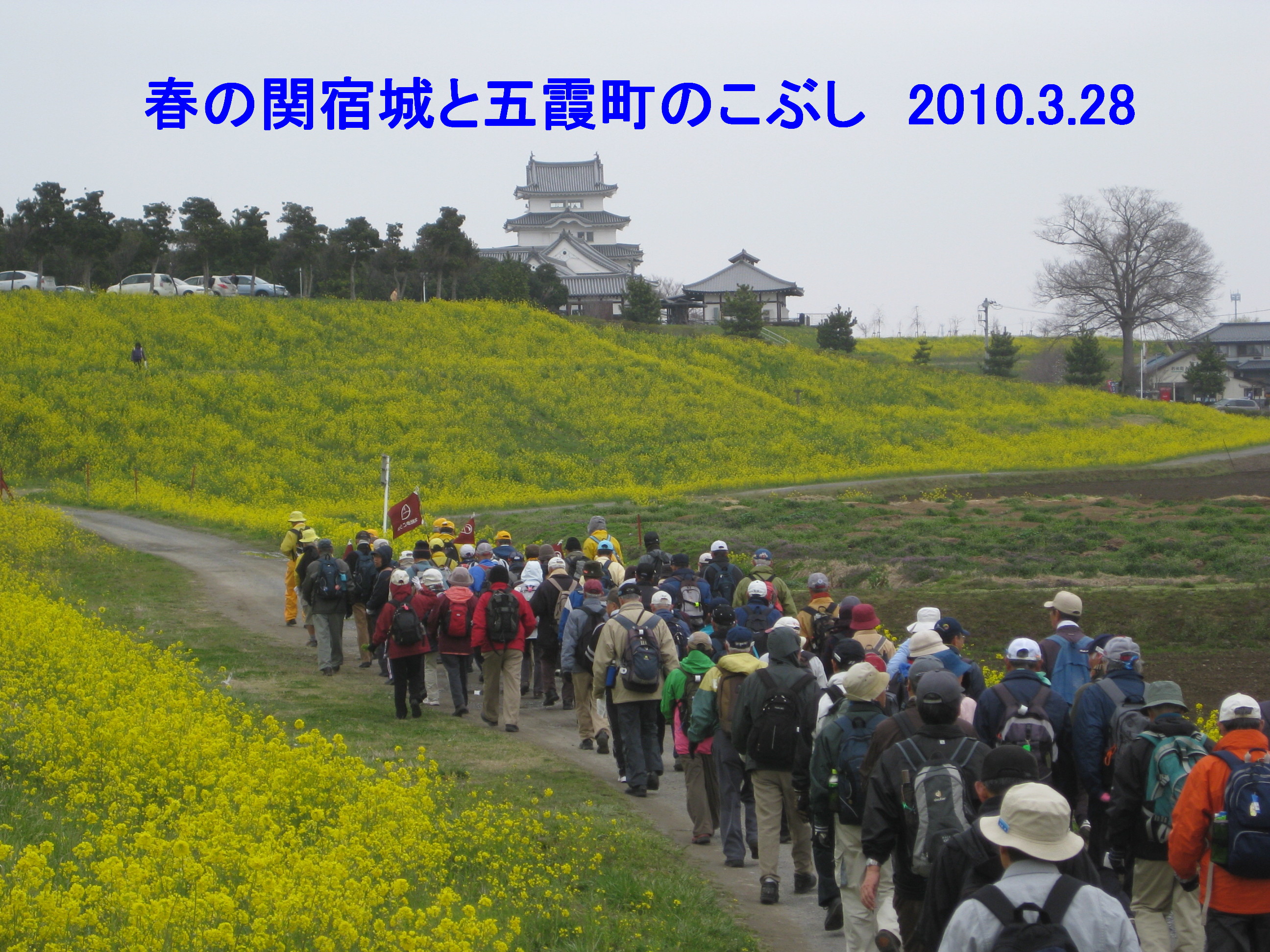 楽しい東葛ウォーク事典 NPO法人千葉県ウオーキング協会